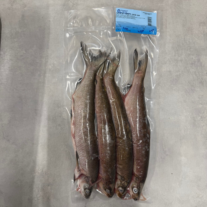 Sik - nätfiskad i Langas 1,5 kg