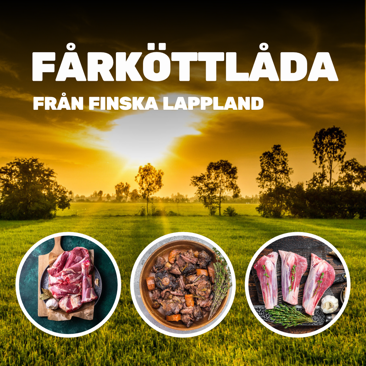 Lammekødkasse fra Siknäs - 16 kg