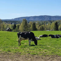 Svensk nötköttlåda 8 kg